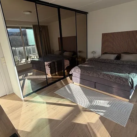 Appartement Penthouse *