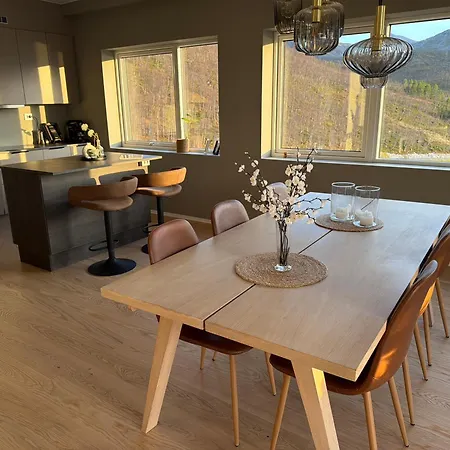 Appartement Penthouse *